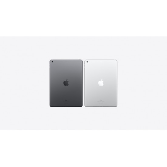  iPad 10.2" 8th Gen (Wi-Fi/Cellular, China) 32, 128 GB Specs