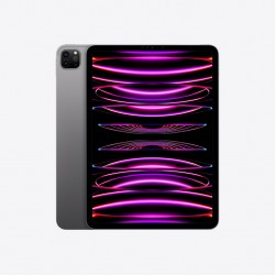 Apple iPad Pro 12.9"(Wi-Fi/Cell China - 6th Gen) 