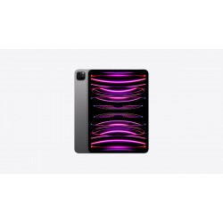 Apple iPad Pro 12.9"(Wi-Fi/Cell China - 6th Gen) 