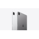 Apple iPad Pro 12.9"(Wi-Fi/Cell China - 6th Gen) 