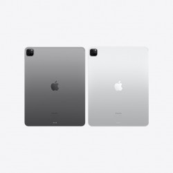 iPad Pro 11" (Wi-Fi Only - 2nd Gen) 128, 256, 512 GB; 1 TB Specs