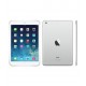  iPad mini 4 (Wi-Fi/Cellular) 16, 32, 64, 128 GB* Specs