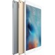 iPad Pro 12.9" (Wi-Fi/Cellular) 128, 256 GB Specs