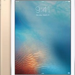  iPad Pro 12.9" (Wi-Fi/Cellular) 128, 256 GB Specs