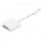 Apple Mini DisplayPort to DVI Adapter