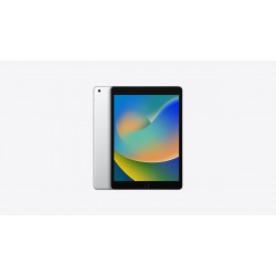  iPad 10.2" 9th Gen (Wi-Fi/Cellular, Global) 64, 256 GB Specs