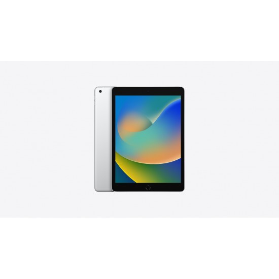  iPad 10.2" 9th Gen (Wi-Fi/Cellular, China) 64, 256 GB Specs