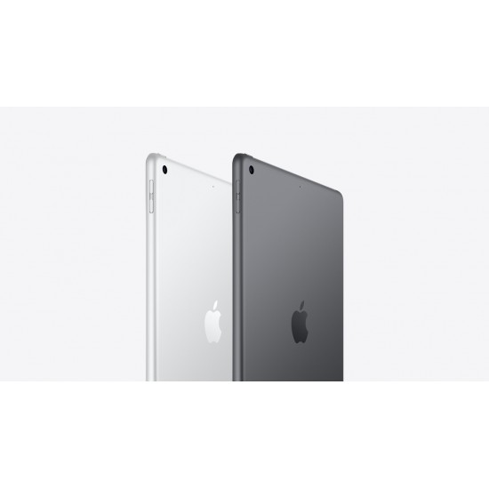  iPad 10.2" 9th Gen (Wi-Fi/Cellular, China) 64, 256 GB Specs
