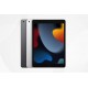  iPad 10.2" 9th Gen (Wi-Fi/Cellular, China) 64, 256 GB Specs