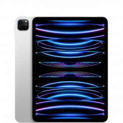  iPad Pro 12.9" (Wi-Fi/Cell US - 5th Gen) 128, 256, 512 GB; 1, 2 TB Specs