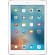 iPad Pro 9.7" (Wi-Fi Only)