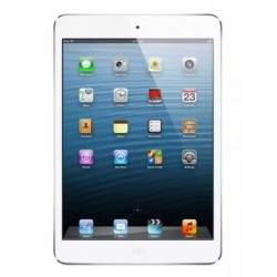 iPad mini Wi-Fi Only/1st Gen
