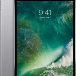 iPad Pro 10.5" (Wi-Fi/Cellular)