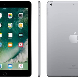 iPad 9.7" 5th Gen (Wi-Fi/Cellular)