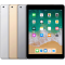 iPad 9.7" 5th Gen (Wi-Fi/Cellular)