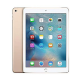iPad Air 2 (Wi-Fi/Cellular)