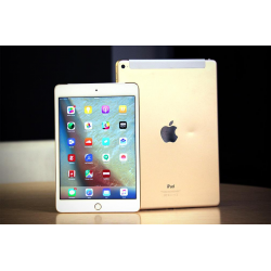 iPad mini 4 (Wi-Fi Only)