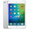 iPad mini 4 (Wi-Fi/Cellular)