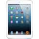 iPad mini 2 (Retina/2nd Gen, Wi-Fi Only) 