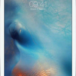 iPad Pro 12.9" (Wi-Fi/Cellular)